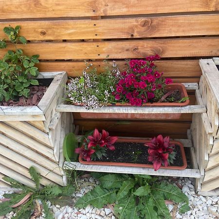 Cabanas Bosque Austral Пунта-Аренас Екстер'єр фото